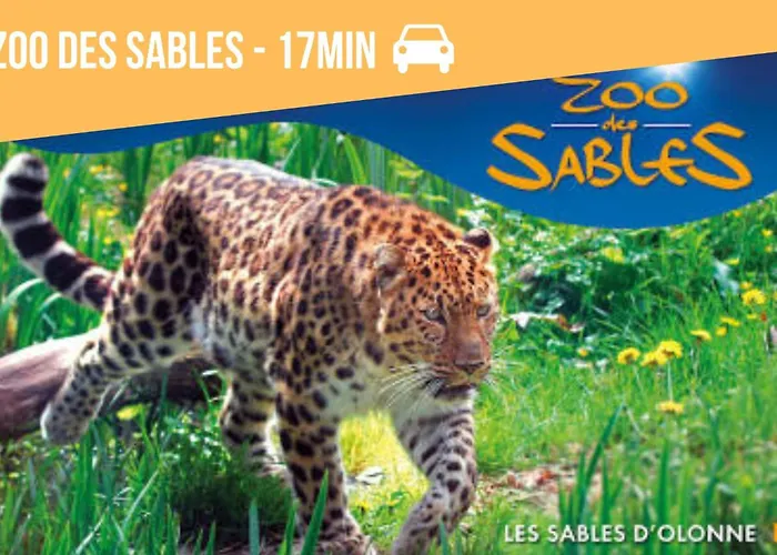 Sejour Deconnexion Avec Vue Imprenable Sur Sainte-Foy (Vendee)